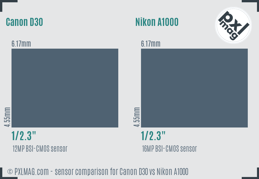 Canon D30 vs Nikon A1000 sensor size comparison