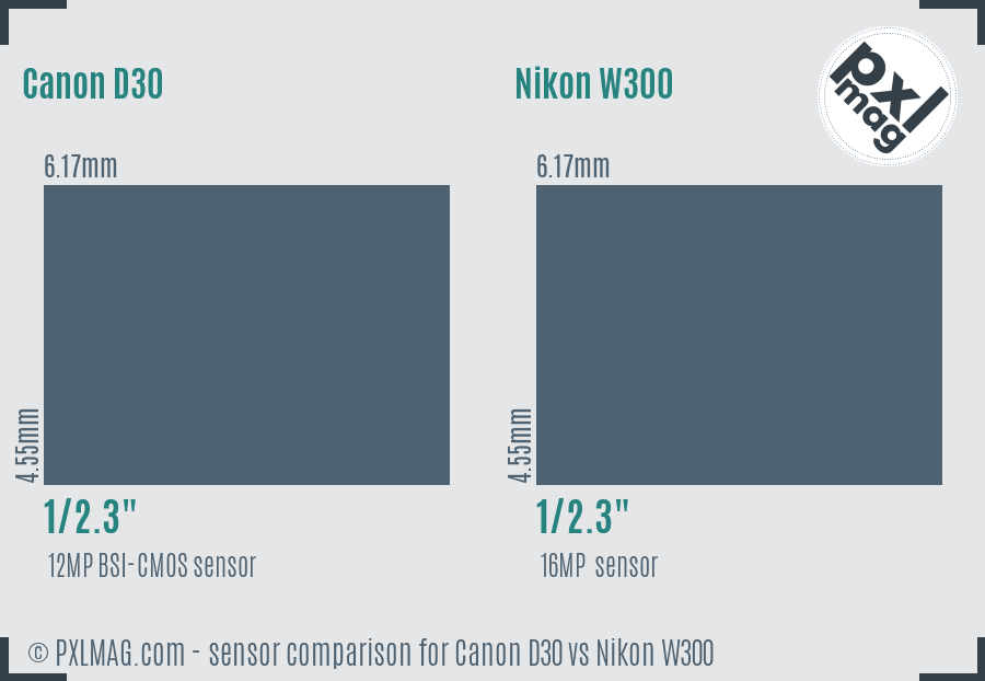 Canon D30 vs Nikon W300 sensor size comparison