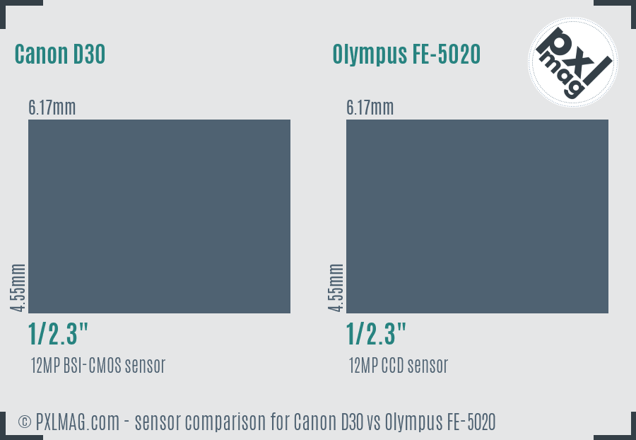 Canon D30 vs Olympus FE-5020 sensor size comparison