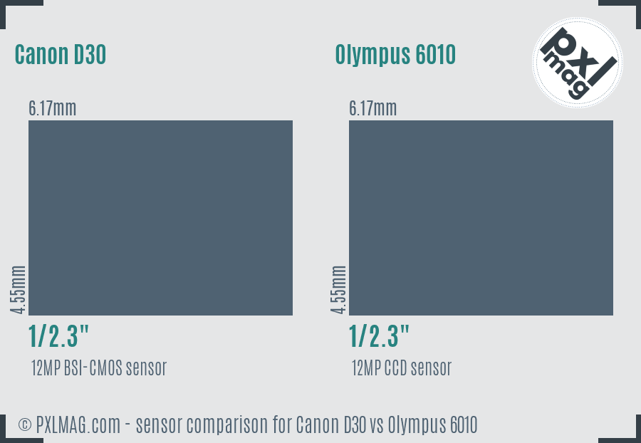 Canon D30 vs Olympus 6010 sensor size comparison