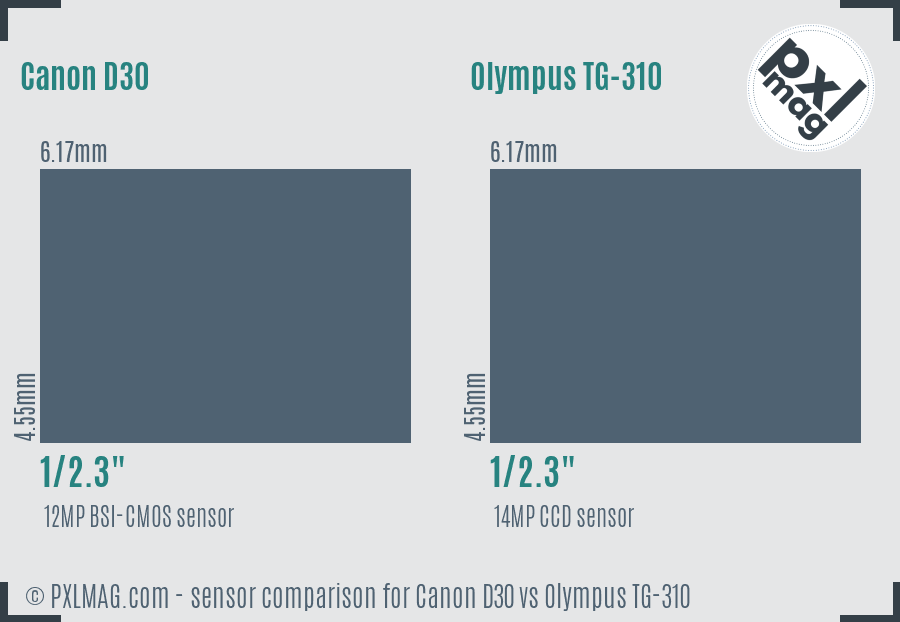 Canon D30 vs Olympus TG-310 sensor size comparison