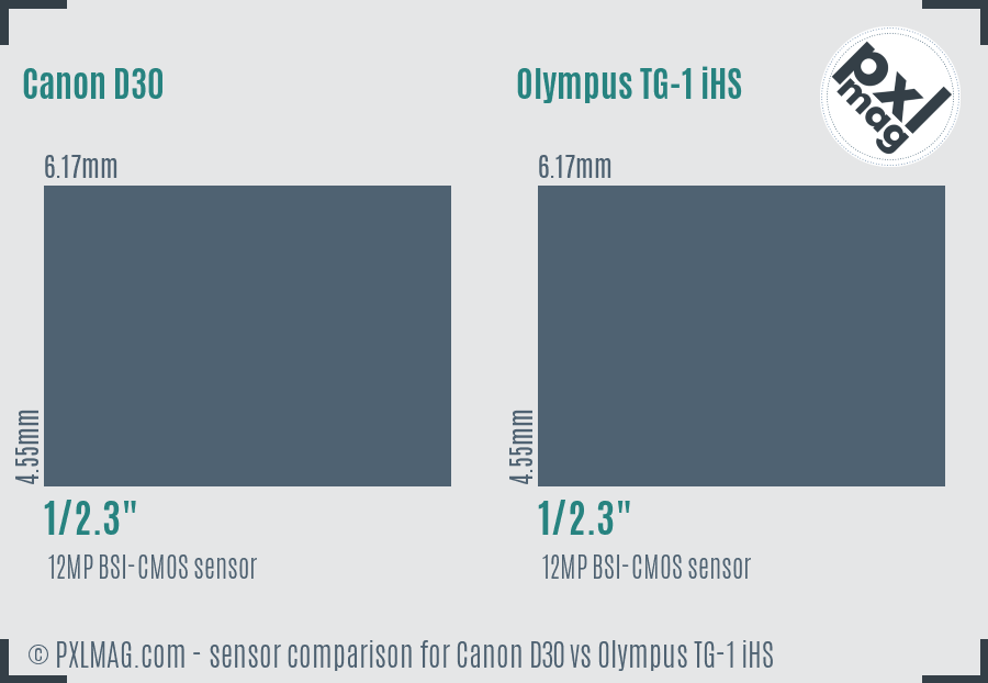 Canon D30 vs Olympus TG-1 iHS sensor size comparison