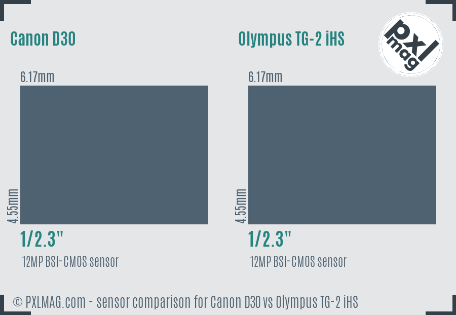 Canon D30 vs Olympus TG-2 iHS sensor size comparison