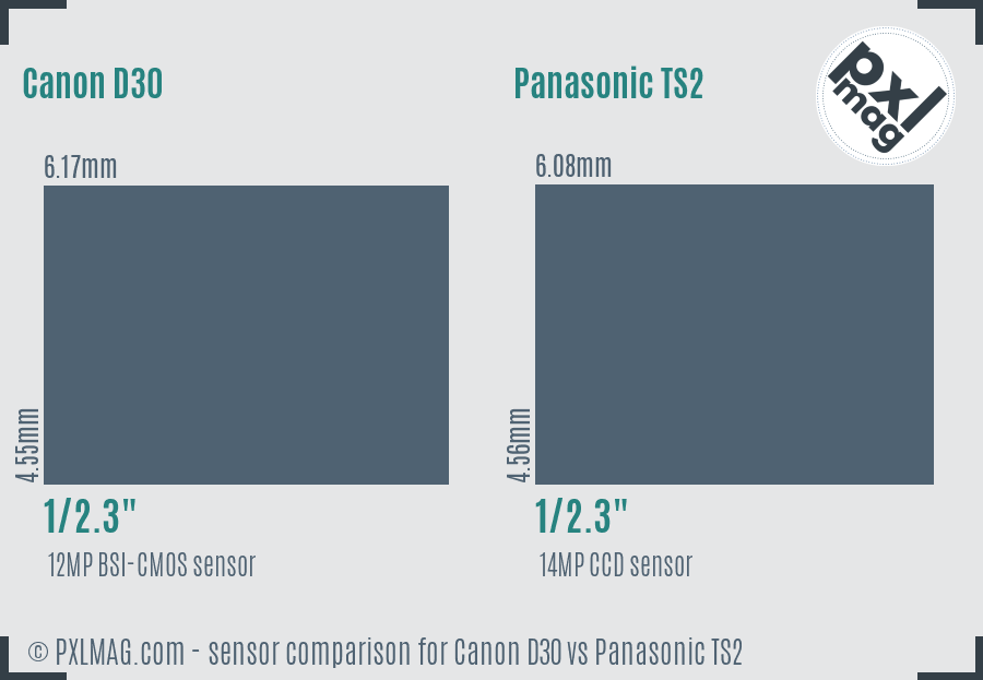 Canon D30 vs Panasonic TS2 sensor size comparison