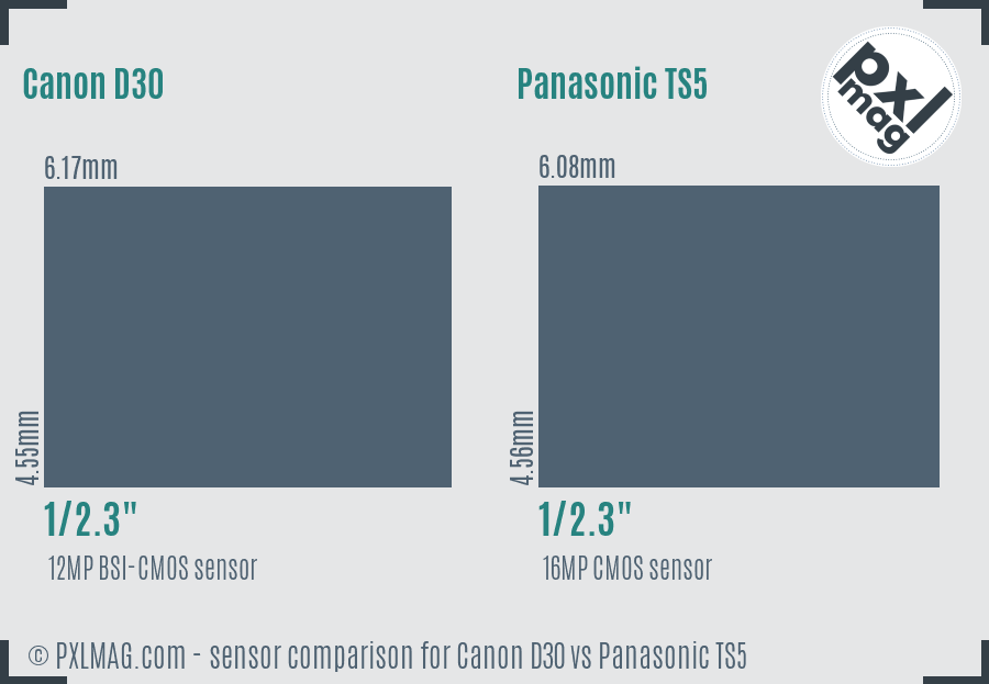 Canon D30 vs Panasonic TS5 sensor size comparison