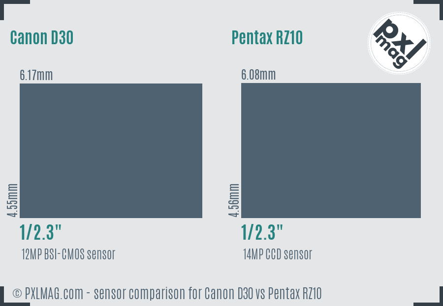 Canon D30 vs Pentax RZ10 sensor size comparison