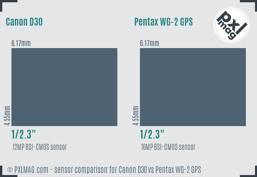 Canon D30 vs Pentax WG-2 GPS sensor size comparison