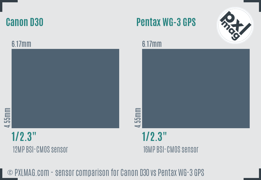 Canon D30 vs Pentax WG-3 GPS sensor size comparison
