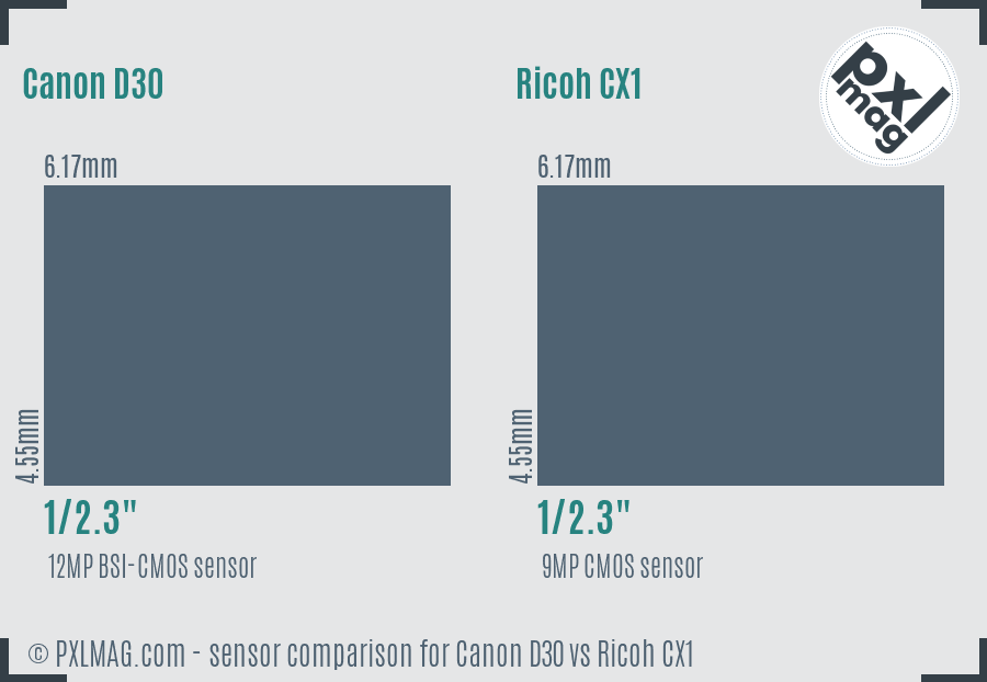 Canon D30 vs Ricoh CX1 sensor size comparison