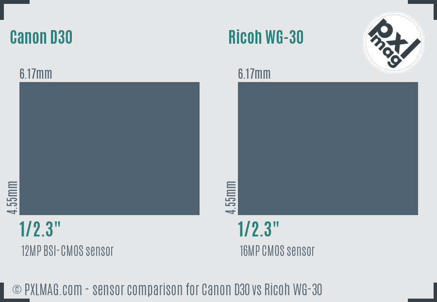 Canon D30 vs Ricoh WG-30 sensor size comparison