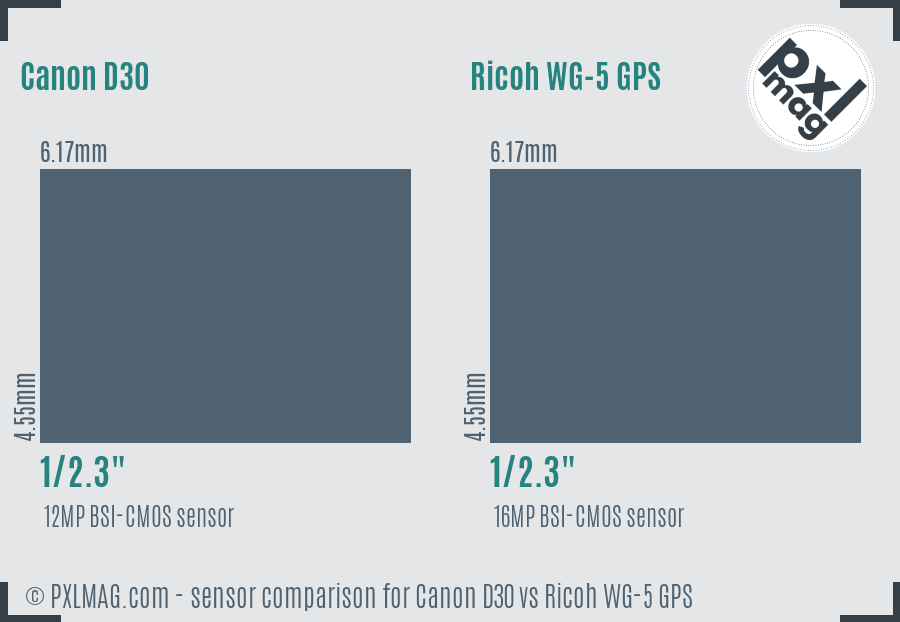Canon D30 vs Ricoh WG-5 GPS sensor size comparison