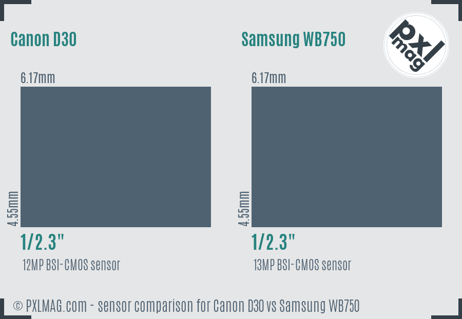 Canon D30 vs Samsung WB750 sensor size comparison