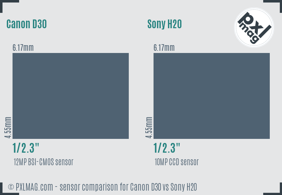 Canon D30 vs Sony H20 sensor size comparison