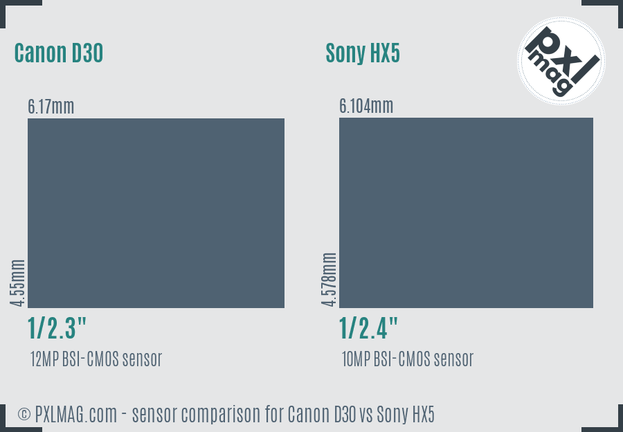 Canon D30 vs Sony HX5 sensor size comparison