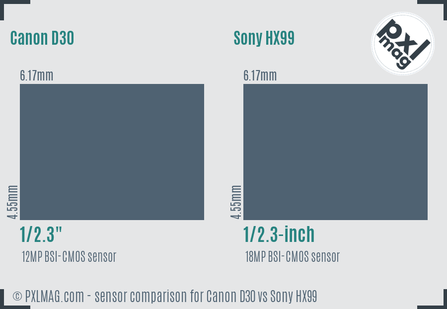 Canon D30 vs Sony HX99 sensor size comparison