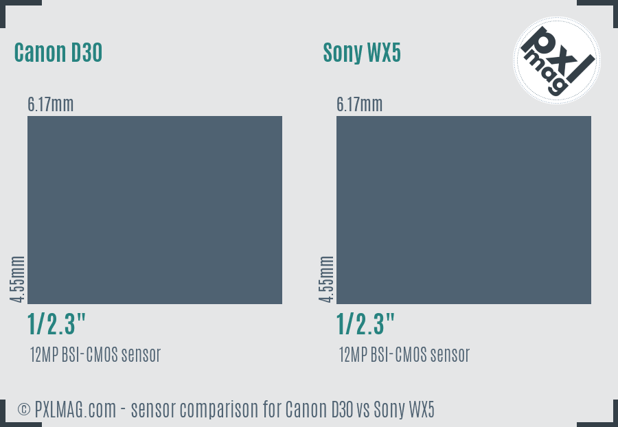 Canon D30 vs Sony WX5 sensor size comparison Canon D30 vs Sony WX5 sensor size comparison