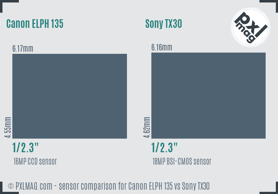 Canon ELPH 135 vs Sony TX30 sensor size comparison