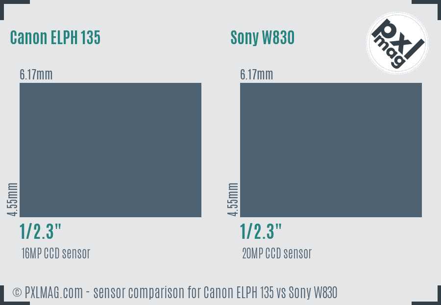 Canon ELPH 135 vs Sony W830 sensor size comparison