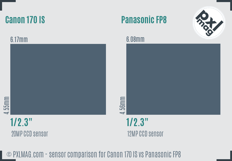 Canon 170 IS vs Panasonic FP8 sensor size comparison