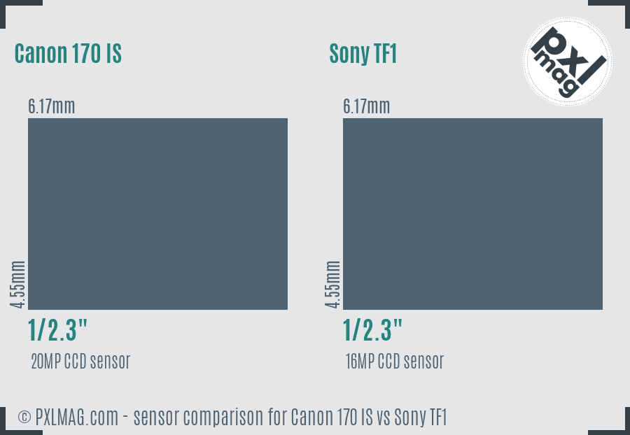 Canon 170 IS vs Sony TF1 sensor size comparison