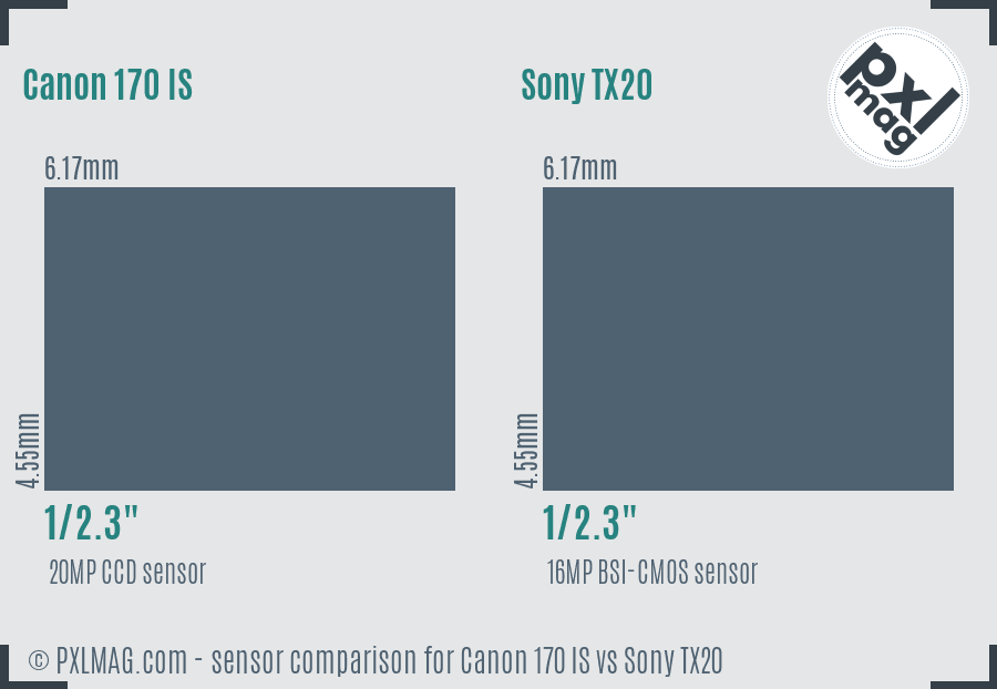 Canon 170 IS vs Sony TX20 sensor size comparison