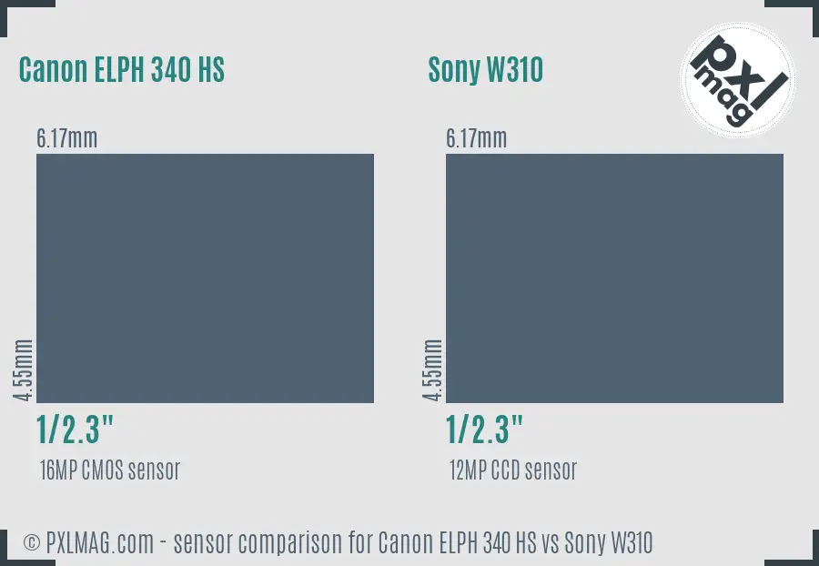 Canon ELPH 340 HS vs Sony W310 sensor size comparison