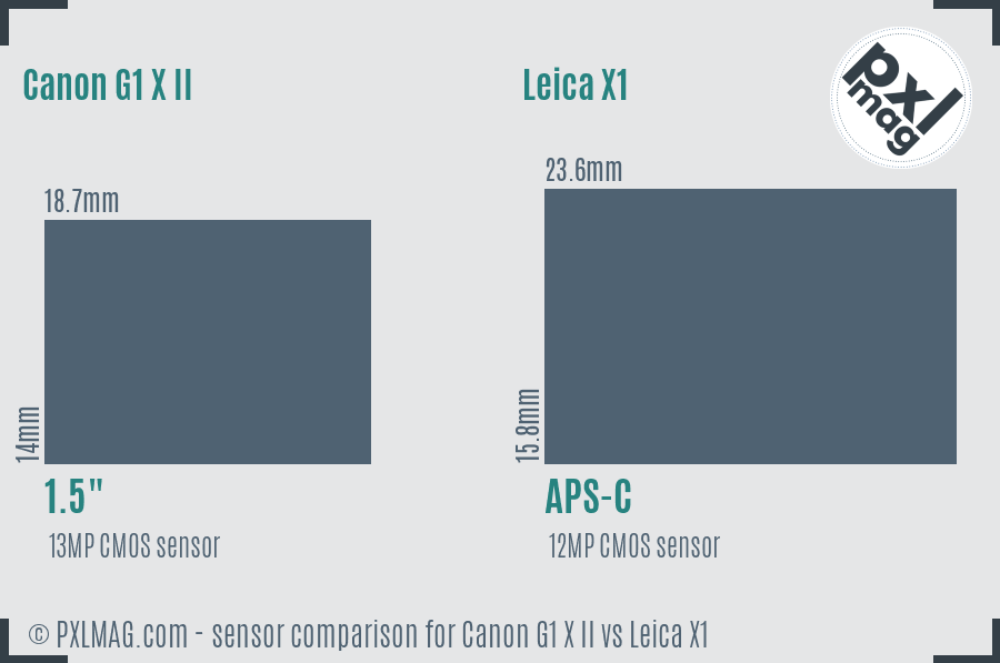 Canon G1 X II vs Leica X1 sensor size comparison