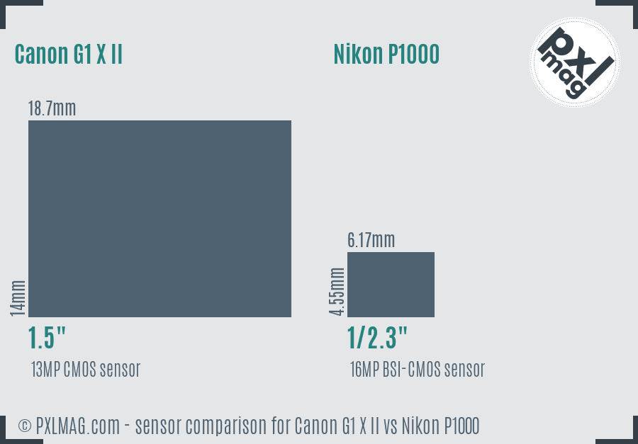 Canon G1 X II vs Nikon P1000 sensor size comparison