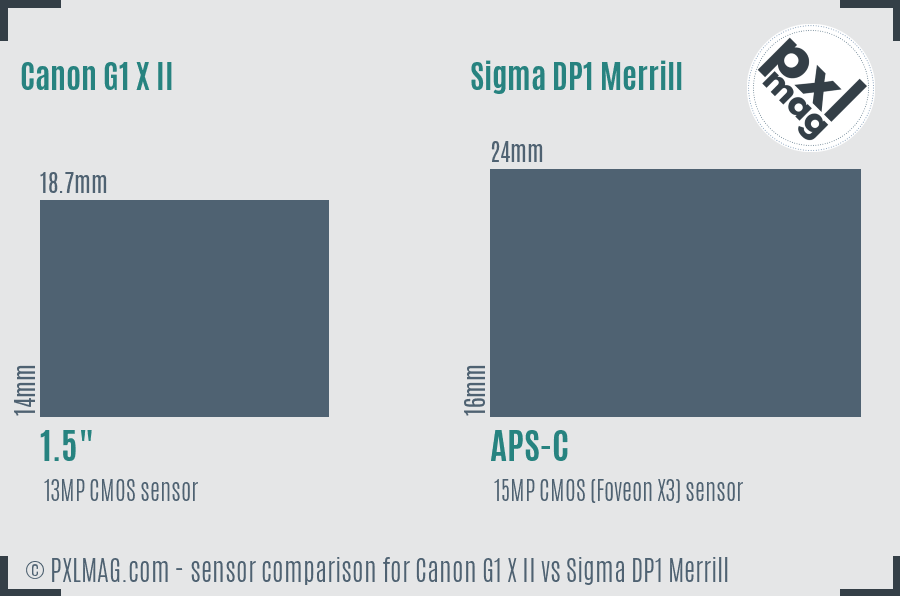 Canon G1 X II vs Sigma DP1 Merrill sensor size comparison