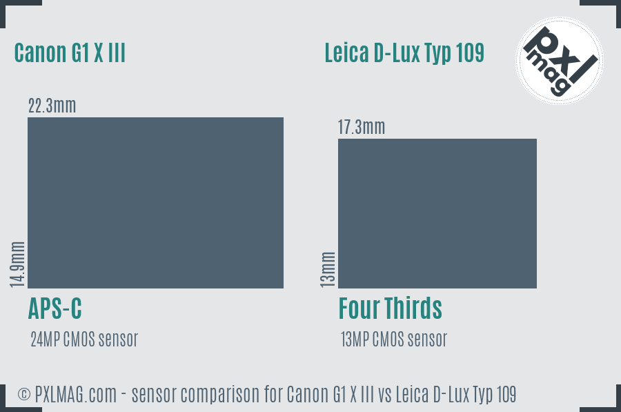 Canon G1 X III vs Leica D-Lux Typ 109 sensor size comparison