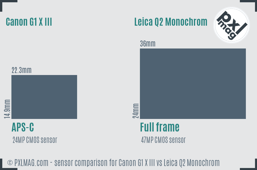 Canon G1 X III vs Leica Q2 Monochrom sensor size comparison