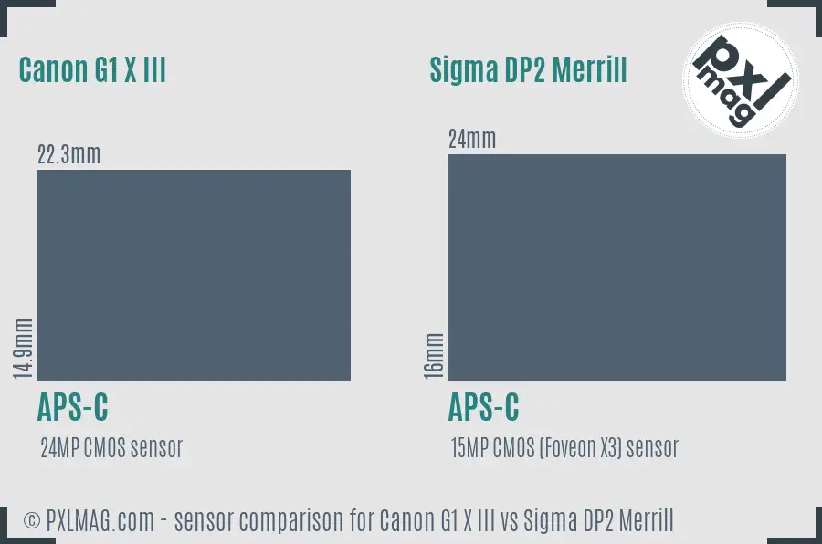 Canon G1 X III vs Sigma DP2 Merrill sensor size comparison