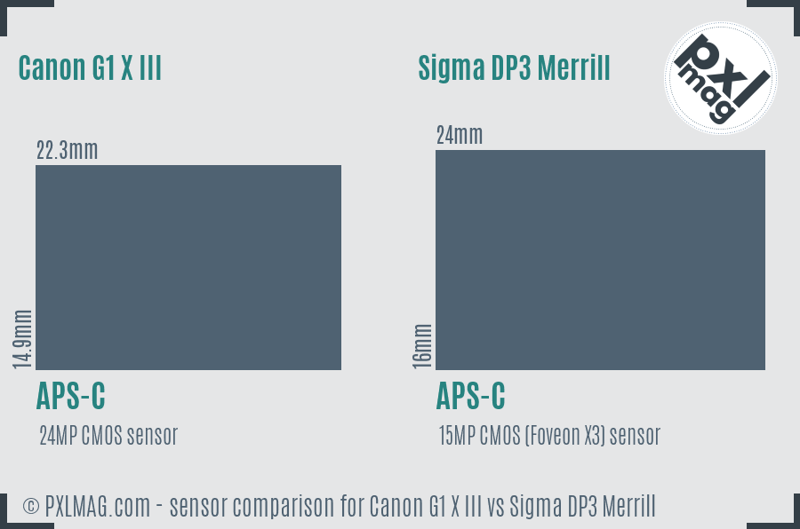 Canon G1 X III vs Sigma DP3 Merrill sensor size comparison