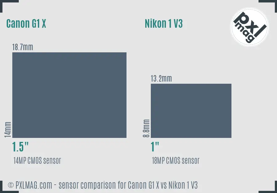 Canon G1 X vs Nikon 1 V3 sensor size comparison Canon G1 X vs Nikon 1 V3 sensor size comparison