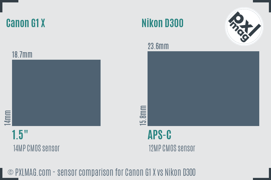 Canon G1 X vs Nikon D300 sensor size comparison Canon G1 X vs Nikon D300 sensor size comparison