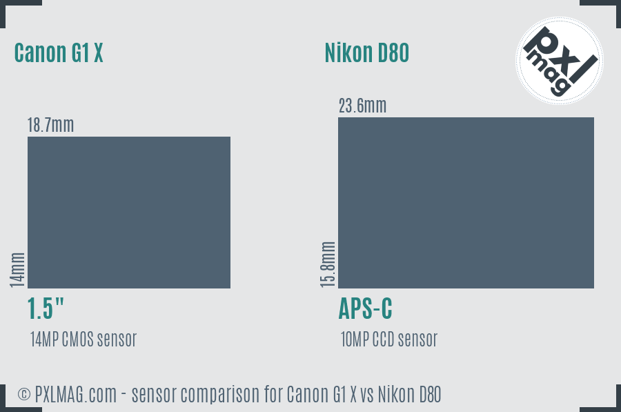 Canon G1 X vs Nikon D80 sensor size comparison