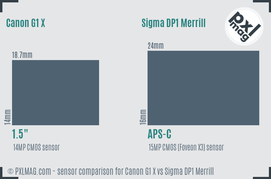 Canon G1 X vs Sigma DP1 Merrill sensor size comparison