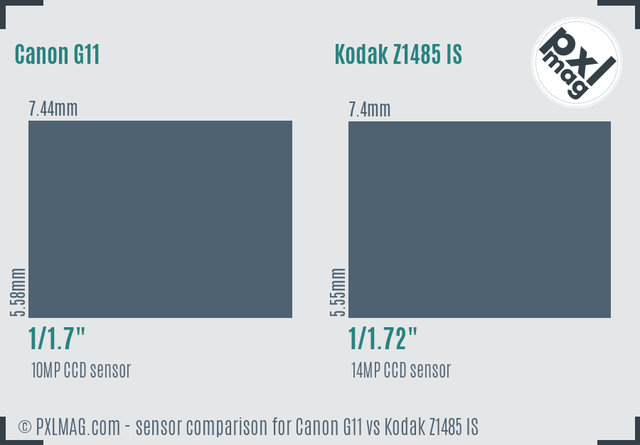 Canon G11 vs Kodak Z1485 IS sensor size comparison
