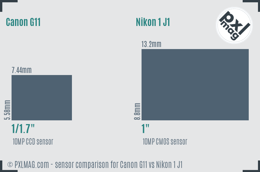 Canon G11 vs Nikon 1 J1 sensor size comparison