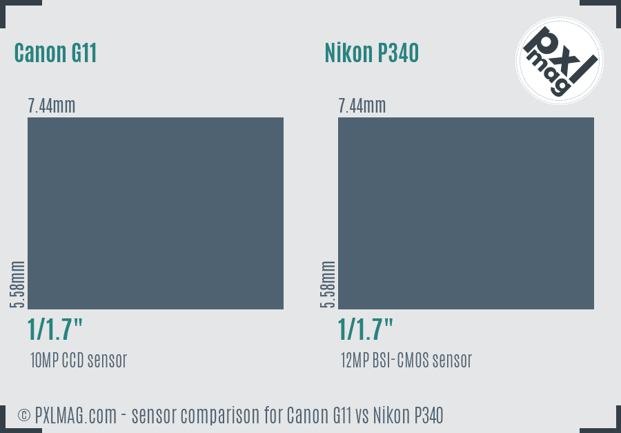 Canon G11 vs Nikon P340 sensor size comparison