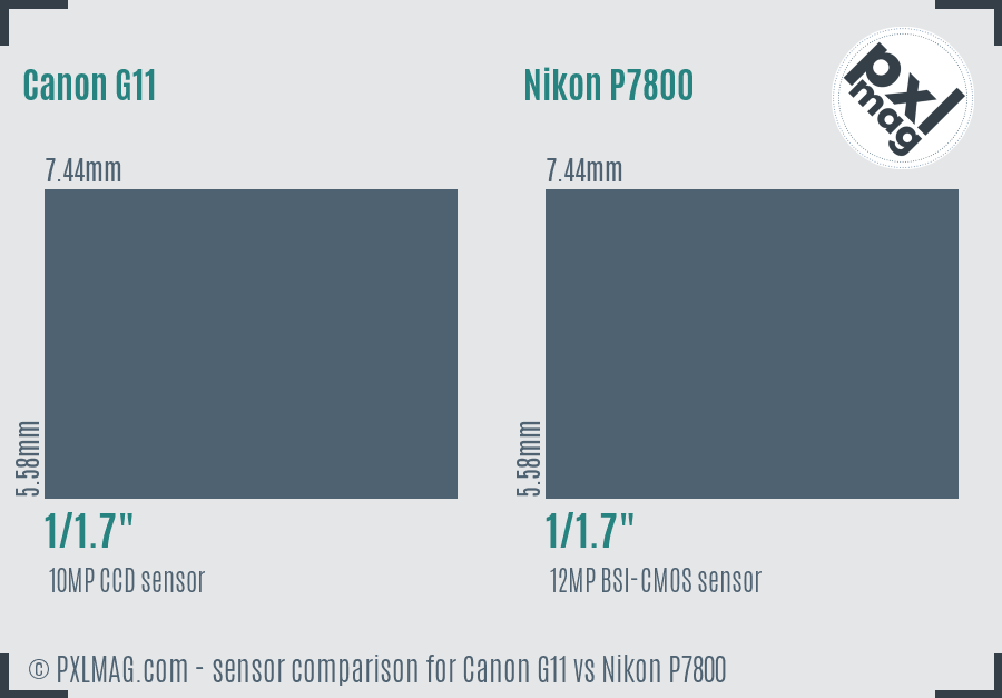 Canon G11 vs Nikon P7800 sensor size comparison