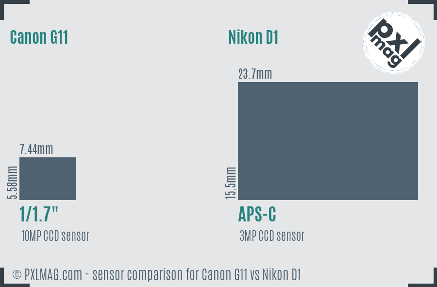 Canon G11 vs Nikon D1 sensor size comparison