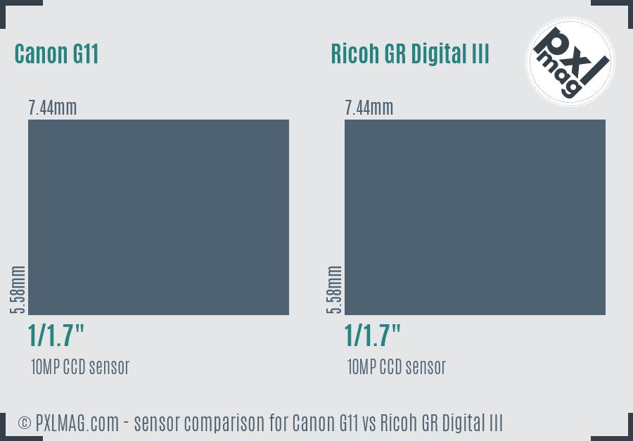Canon G11 vs Ricoh GR Digital III sensor size comparison