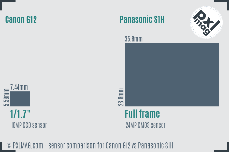 Canon G12 vs Panasonic S1H sensor size comparison