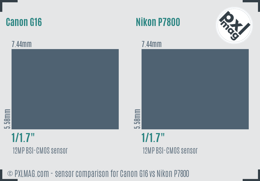 Canon G16 vs Nikon P7800 sensor size comparison