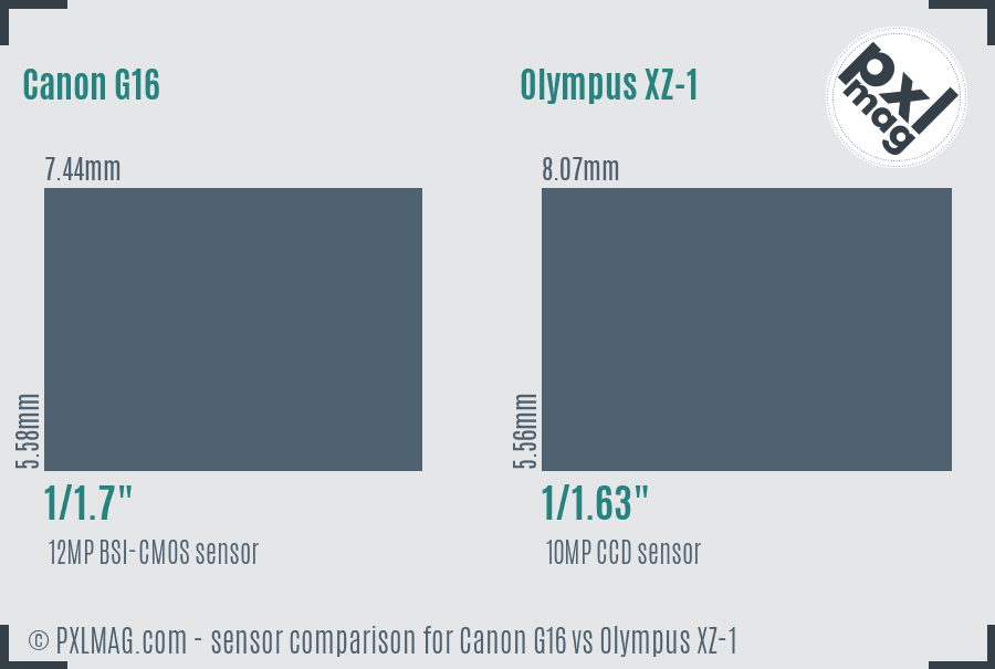 Canon G16 vs Olympus XZ-1 sensor size comparison