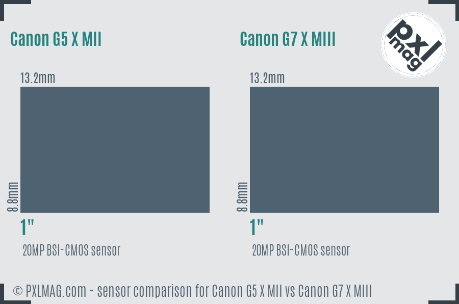 Canon G5 X MII vs Canon G7 X MIII sensor size comparison
