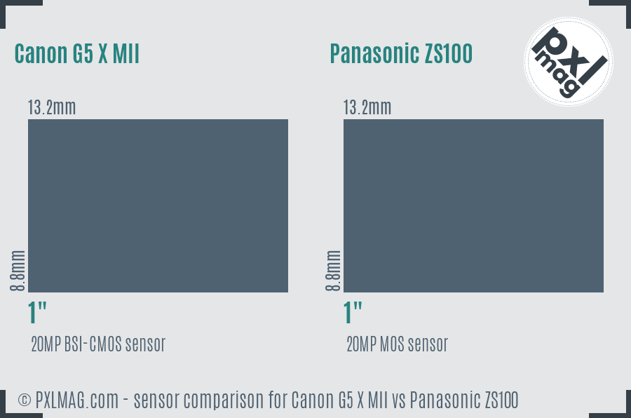 Canon G5 X MII vs Panasonic ZS100 sensor size comparison