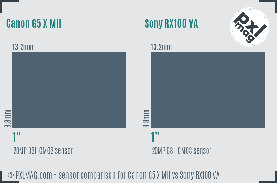 Canon G5 X MII vs Sony RX100 VA sensor size comparison