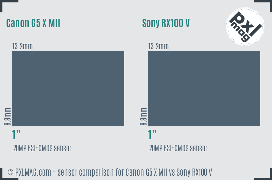 Canon G5 X MII vs Sony RX100 V sensor size comparison